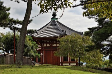 奈良、興福寺、佛寺、寺院、文化財、木造建築、古代建築、日本文化、歷史名勝、文化財、木、綠色、青空、写真素材	
