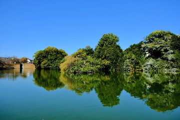 日本、奈良、郡山城、続日本100名城、日本の城、特別史跡、輪郭式平城、天守、庭園、池塘、春、歷史名勝、綠色、風景、青空、写真素材	
