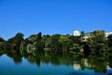 Fototapeta premium 日本、奈良、郡山城、続日本100名城、日本の城、特別史跡、輪郭式平城、天守、庭園、池塘、春、歷史名勝、綠色、風景、青空、写真素材 