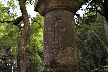 日本、奈良、鹿、神社 、春日大社、石燈籠、木、綠色、写真素材	
