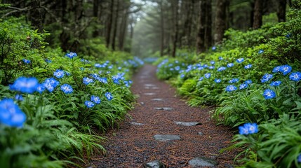 Forest path lined with blue flowers and green foliage leading into the distance.