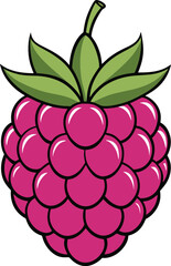 Cartoon illustration of a ripe raspberry isolated on white background