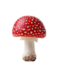 Single red mushroom with white dots (1)