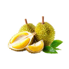 Obraz premium Two whole and sliced durian fruits with vibrant yellow flesh and green spiky husk. Fresh tropical fruit