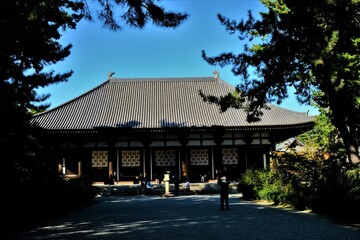 日本、奈良、唐招提寺、奈良市、庭園、佛寺、寺院、伽藍、軒丸瓦、文化財、木造建築、古代建築、日本文化、歷史名勝、木、綠色、青空、石灯篭、写真素材