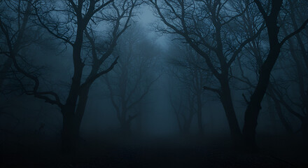 Obraz premium Eerie atmosphere in a dense forest with fog, creating a spooky ambiance
