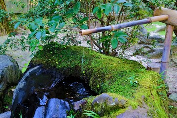 日本、奈良、唐招提寺、奈良市、庭園、佛寺、寺院、伽藍、軒丸瓦、文化財、木造建築、古代建築、日本文化、歷史名勝、木、綠色、青空、石灯篭、写真素材