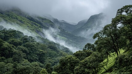 Misty Mountain Landscape: Serene Green Valley in Fog