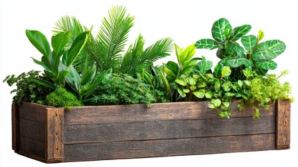 Lush Greenery in a Rustic Wooden Planter Box