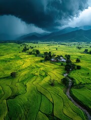 Aerial View of Lush Green Rice Terraces with Stormy Sky and Mountains, Showcasing Agricultural Landscape and Dramatic Weather, Perfect for Travel, Nature, and Environmental Themes, High-Angle Shot of
