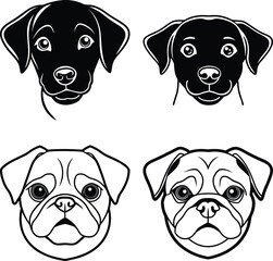 Dog Face ,Terrier, sheepdog and Husky dogs all well behaved sitting and facing front

