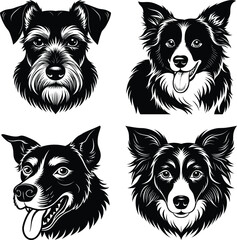 Dog Face ,Terrier, sheepdog and Husky dogs all well behaved sitting and facing front

