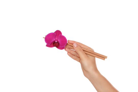 Pink orchid held with chopsticks, isolated on white, PNG - Powered by Adobe