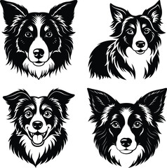 Dog Face ,Terrier, sheepdog and Husky dogs all well behaved sitting and facing front

