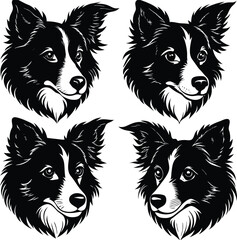 Dog Face ,Terrier, sheepdog and Husky dogs all well behaved sitting and facing front

