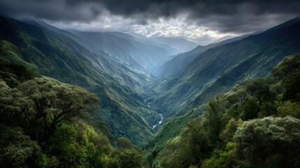 Harvesting fresh herbs and garlic in a rustic kitchen detailed food photography organic environment natural lighting