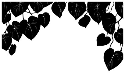 philodendron heartleaf vine decoration border silhouette © safri