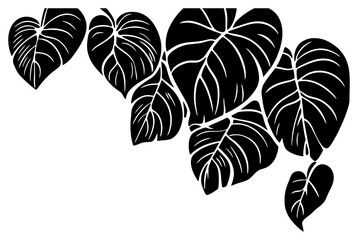 philodendron heartleaf vine decoration border silhouette © safri