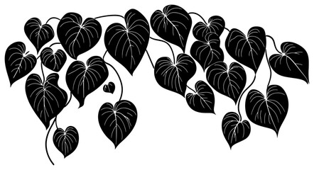 philodendron heartleaf vine decoration border silhouette