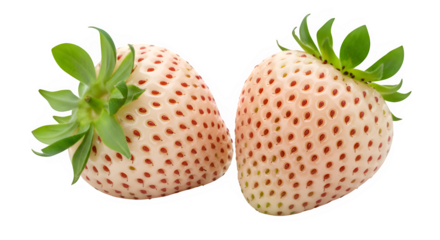 Discover the delicate sweetness of two pristine white strawberries, a visually stunning and unique natural delicacy perfect for gourmet food marketing and health-conscious campaigns.