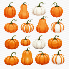 A vibrant illustrated collection of sixteen pumpkins and gourds in various orange, white, and striped patterns.