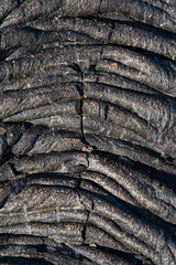 Close-up of Hardened Lava Rock Texture in Hawaii Volcanoes National Park, Big Island