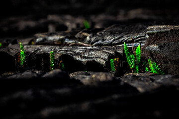 Close-up of Hardened Lava Rock Texture in Hawaii Volcanoes National Park, Big Island
