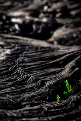 Close-up of Hardened Lava Rock Texture in Hawaii Volcanoes National Park, Big Island