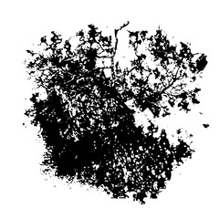 Vector Abstract splatter features irregular dark shapes.