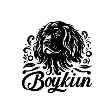 Boykin spaniel head portrait isolated on white background, a sporting dog breed