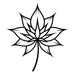 black and white flower