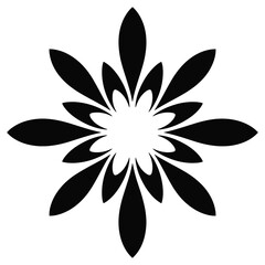 Fototapeta premium vector illustration of a flower