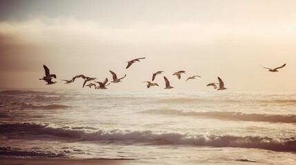 A flock of birds soars over a tranquil ocean.