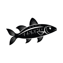 mullet fish isolated on white background