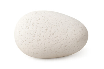 White egg displaying smooth surface, clean outline, natural curvature against transparent backdrop