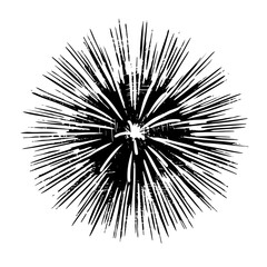 Naklejka premium Vector Dynamic burst features radiating lines and a central core.