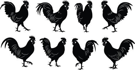 Set of black rooster silhouette vector illustrations, farm animal clipart collection, crowing chicken design for vintage rural decoration art