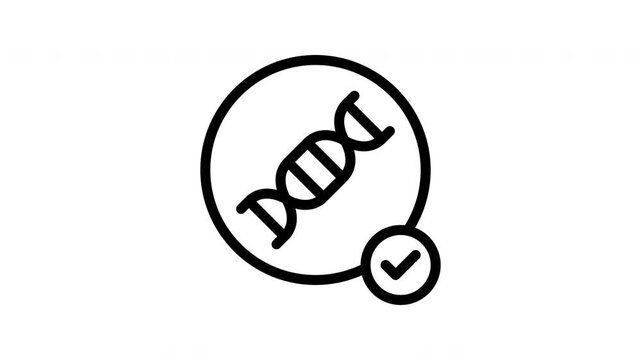 structure genetical minimalist stroke animation