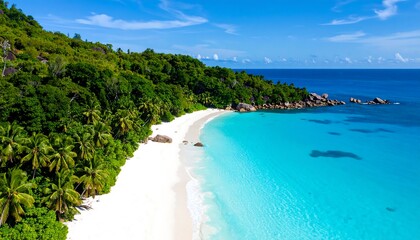 Naklejka premium Pristine tropical beach