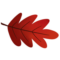 autumn maple red leaf cute drawing isolated