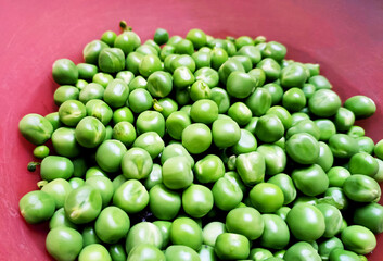 Fresh Green Peas in a Stainless Steel Bowl