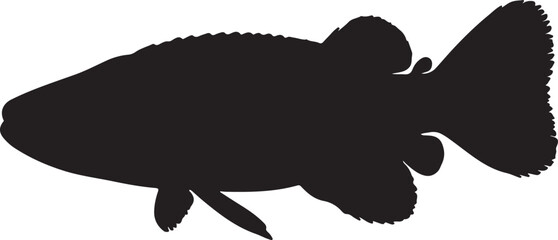 Alligatorfish fish in silhouette white background.