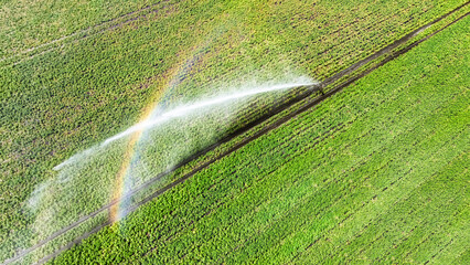 Aerial drone view of irrigation system, water jet rain guns sprinklers on field, rural scene landscape on sunny day, green field background, agriculture in the Netherlands
