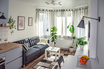 Scandinavian interior style modern studio small apartment in white and grey colors, furniture in living area and kitchen area