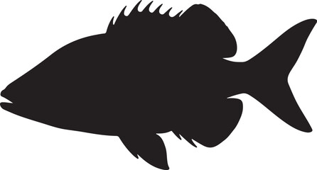 Barreleye fish in silhouette white background.