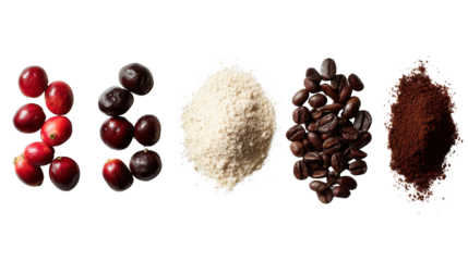 Colorful array of coffee cherries, ground coffee, and flour on white isolate background.