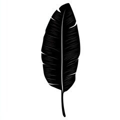 Silhouetted banana leaf