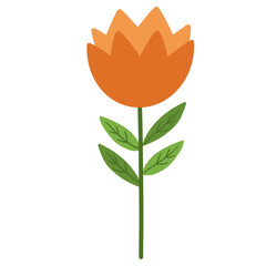 simple orange tulip flower cartoon flat colored illustration