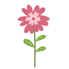 cartoon drawing of pink flower isolated illustration