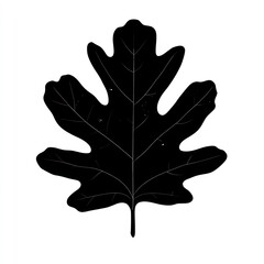 Obraz premium Silhouette of a dark leaf